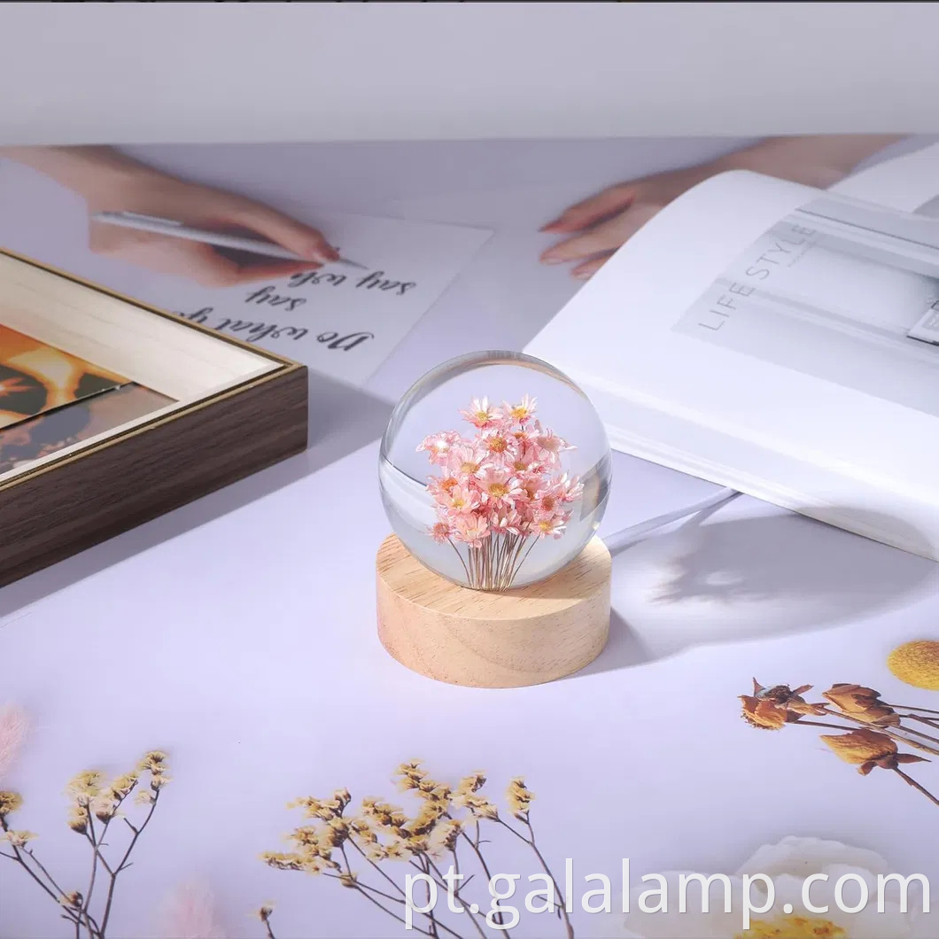 Luz noturna eterna da flor, o presente que nunca murcha